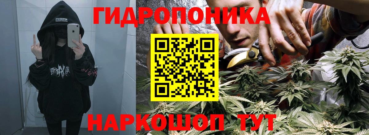 Шишки марихуана гибрид  Конопля конопля  Вход с VPN  Бошки Шишки Amnesia  Киров  Конопля White Widow 